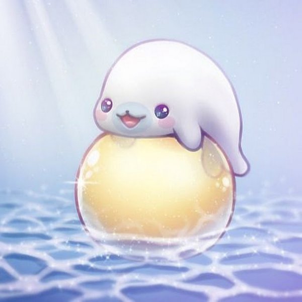 Кавайные морские котики