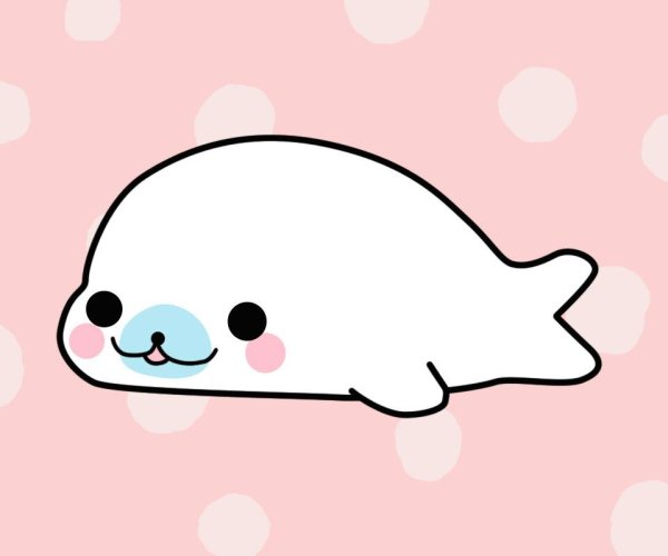 Кавай морской котик