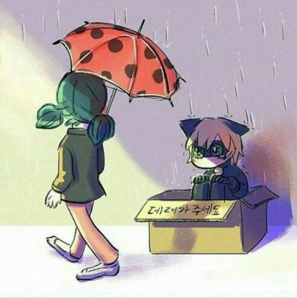 Леди баг и супер кот милашки