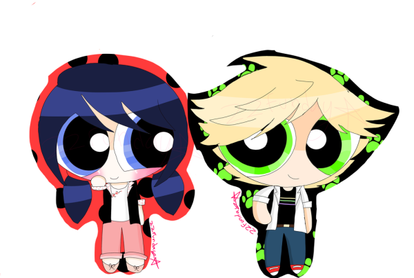 Кот Нуар Чиби