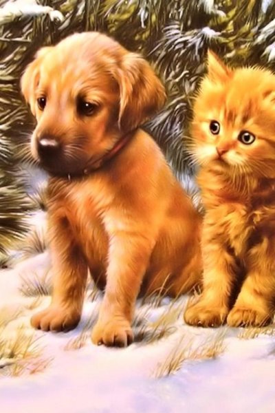 Спящие щенки и котята