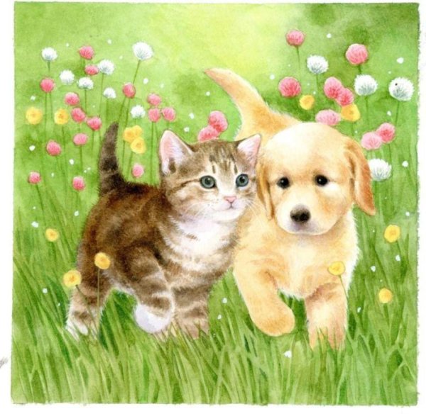 Раскраска собачка