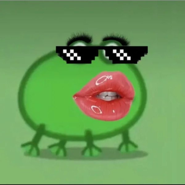 Лягушки на аву из тик тока