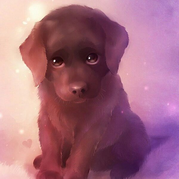 Милые собачки