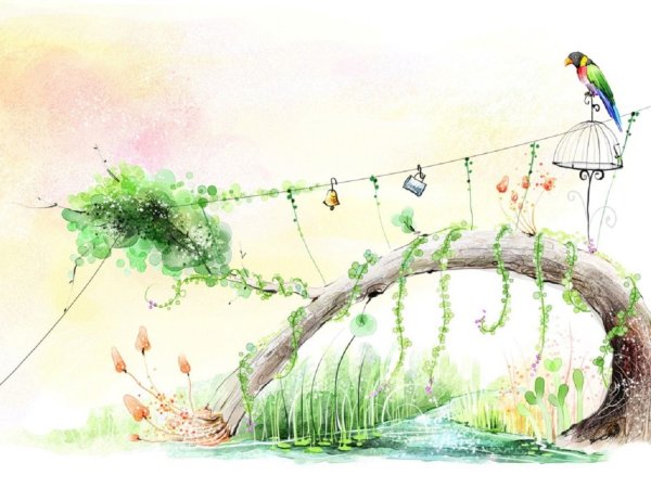 Рисунки природы