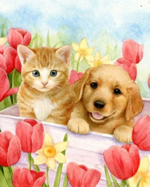 Открытки собака и кошка