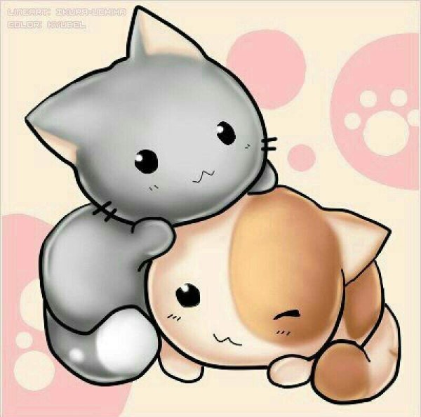 Няшные котики аниме