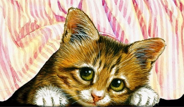 Милые мультяшные зверушки