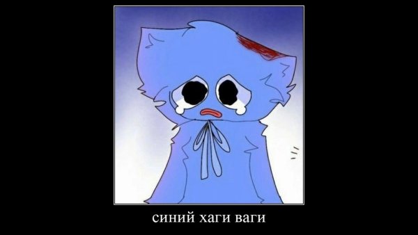 У нас пропал синий Хаги ваги