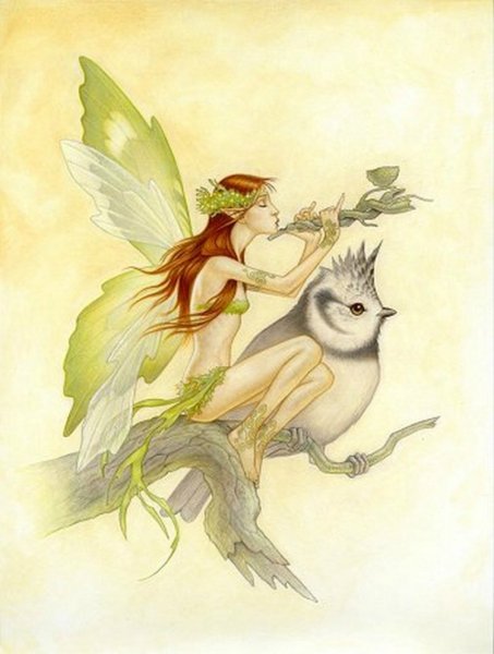 Художник Silvia Lugli