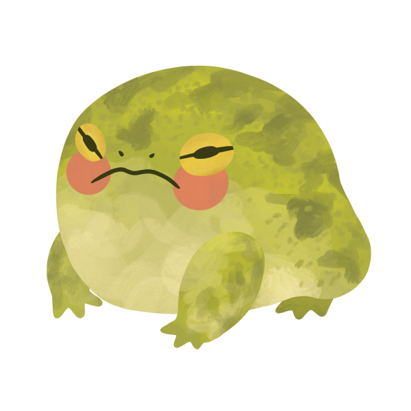 Эстетика лягушки инди КИД