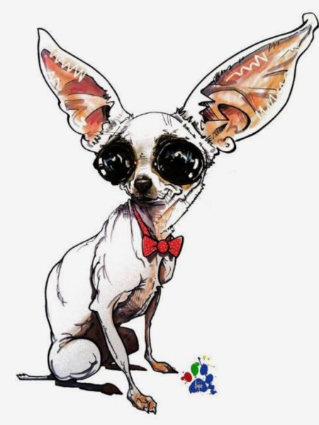 Чихуахуа мультяшный