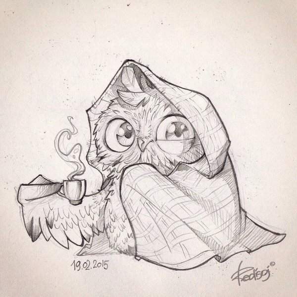 Рисунок Совы карандашом для срисовки