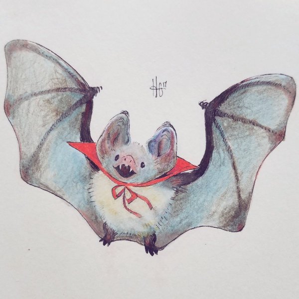 Картинки для срисовки летучая мышь