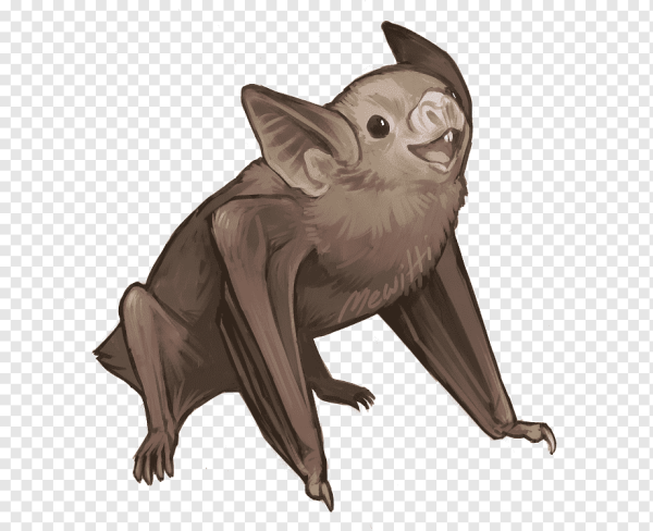 Летучие мыши вампиры мультяшные