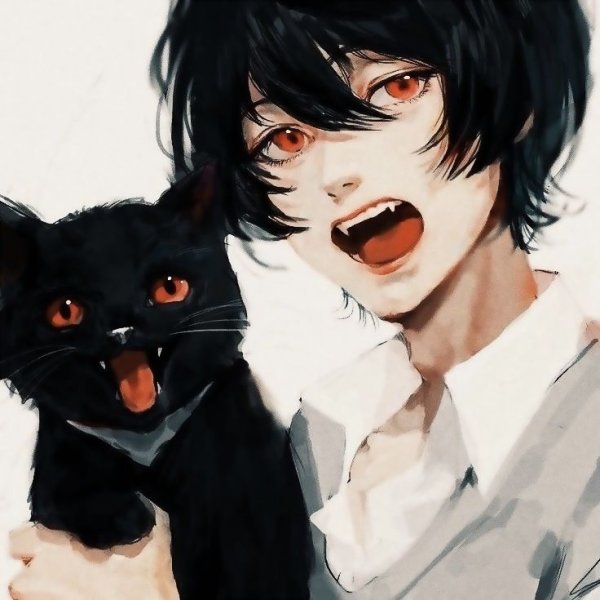 Аниме парень кот