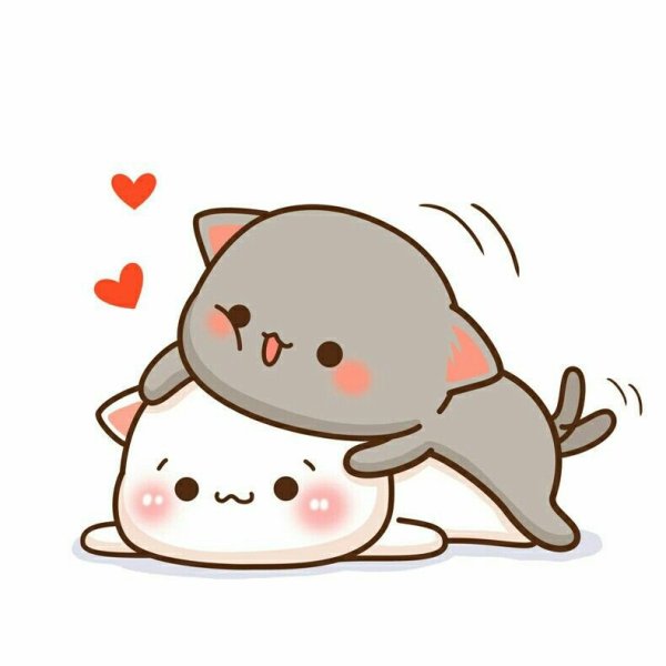 Кавайные котики любовь