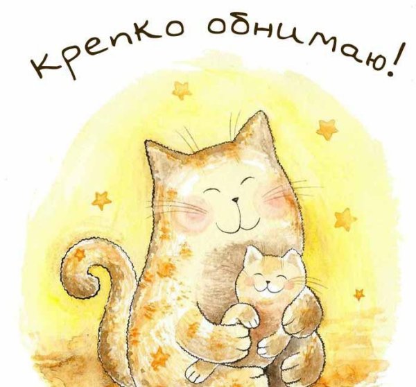 Пушин Кэт раскраска