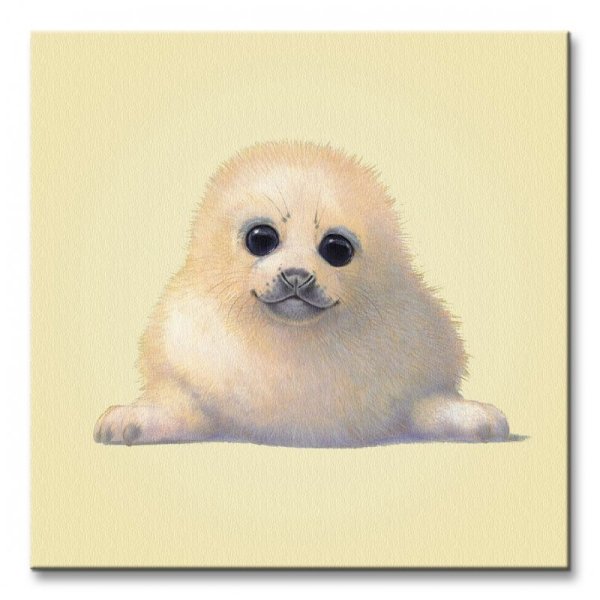 Милый тюлень арт