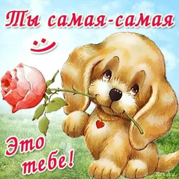 С днем рождения мишка