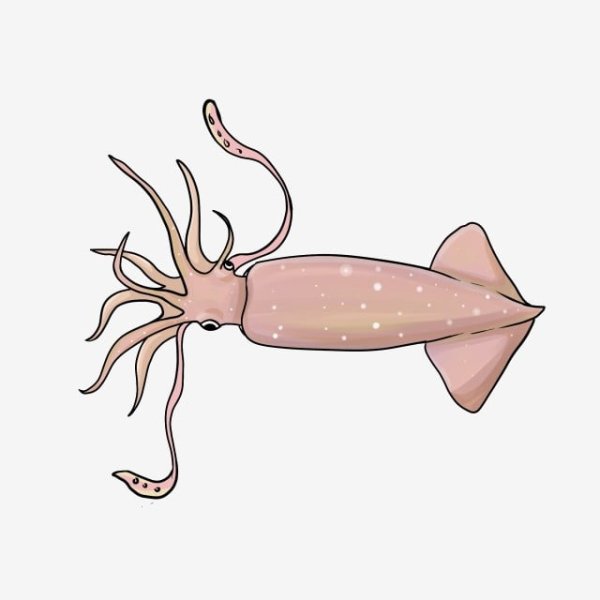 Кальмар маленький рисунок милый