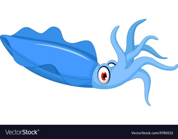 Мини кальмары мультяшный