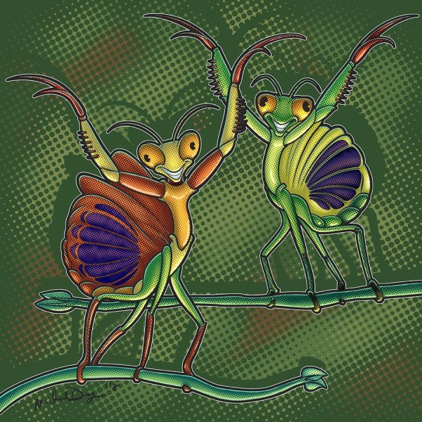 Милый богомол