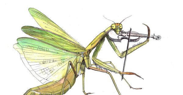 Нарисовать богомола