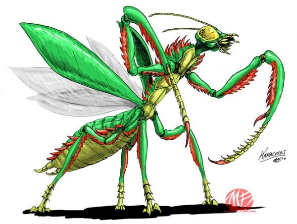 Монстр богомол монстр богомол