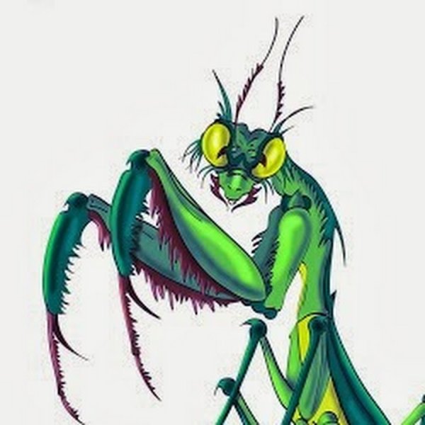 Человек богомол