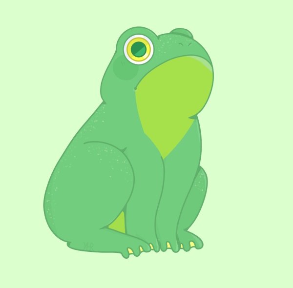 Лягушка на аву