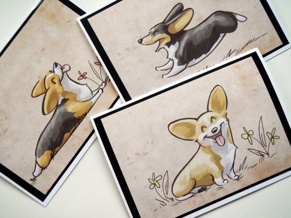 Корги для скетчбука