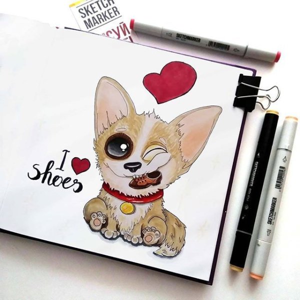 Скетчбук с корги