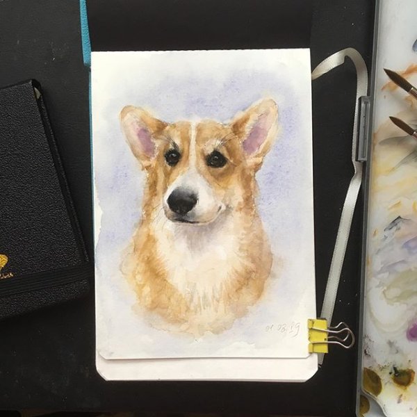 Скетчбук с собаками