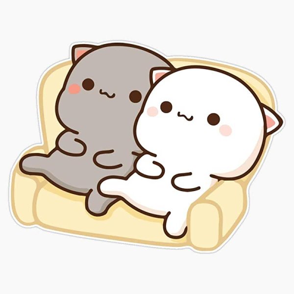 Кавайные котики парочка