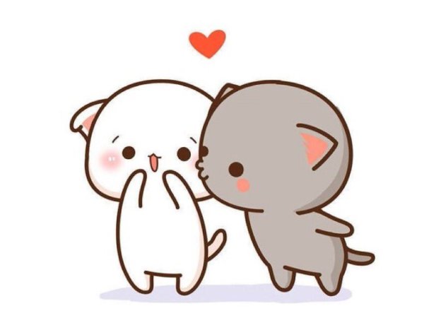 Кавайные котики любовь