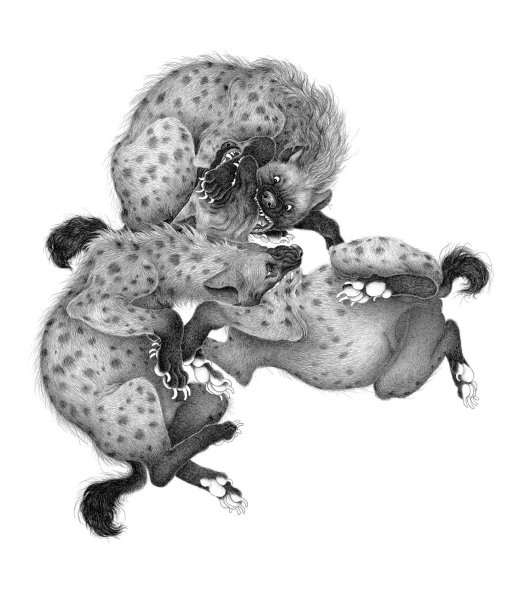 Гиена карикатура