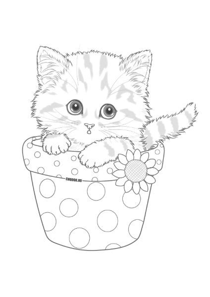 Раскраска. Милые животные