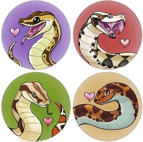 Королевский питон арт