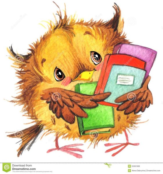 Животные акварель с книжками