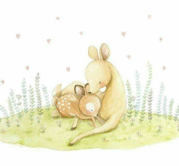 Анна Ломакина иллюстрации