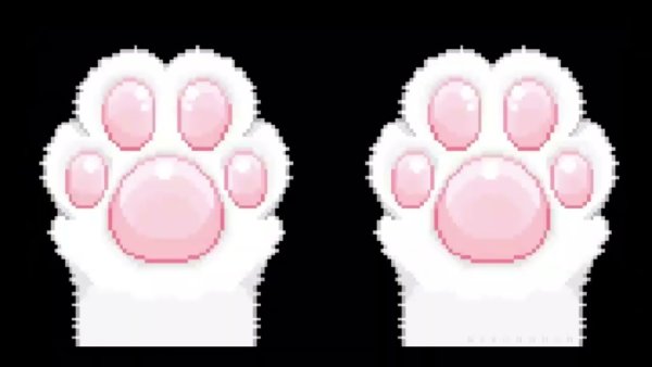 Аниме лапки кошки