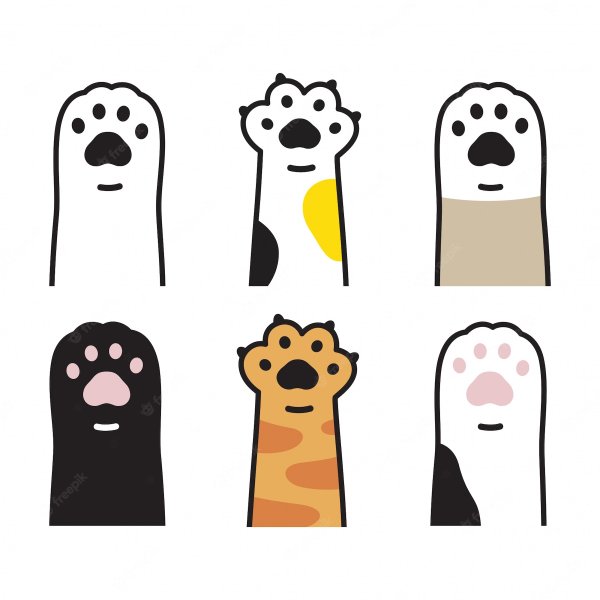 Лапки котов для бумажных сюрпризов