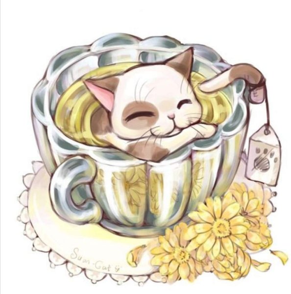 Кот в чашке арт