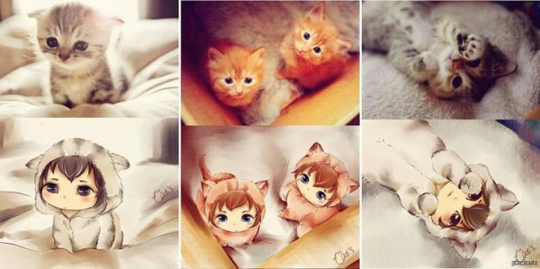 Милота аниме котик