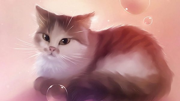 Веселые котята