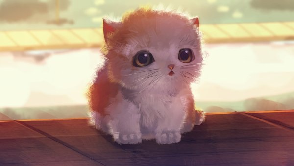 Самые милые котята в мире