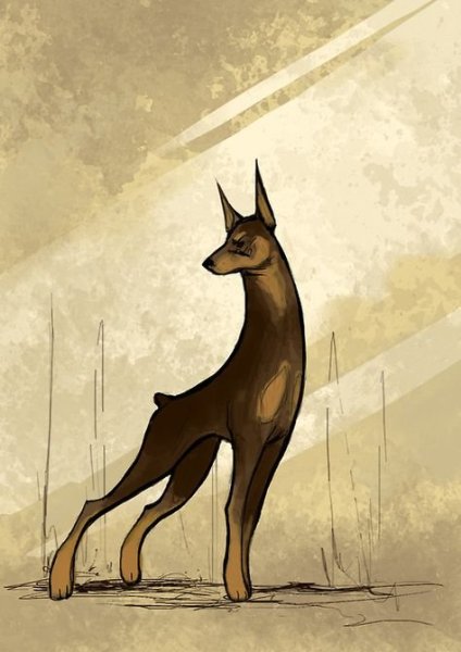 Арт добермана для срисовки