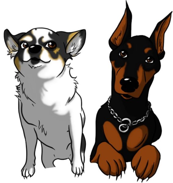 Цвергпинчер вектор