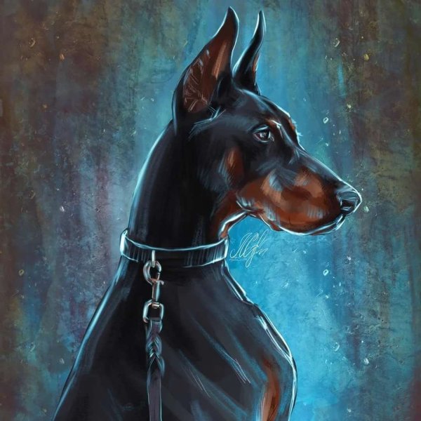 Белый Доберман арт